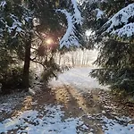 Spokojnia *