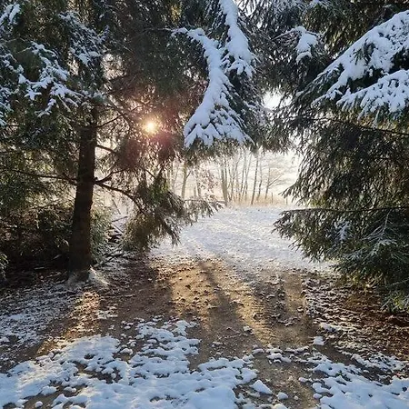 Spokojnia *