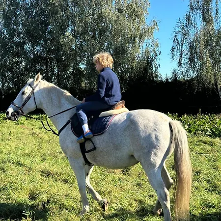 Spokojnia Vila Lawki