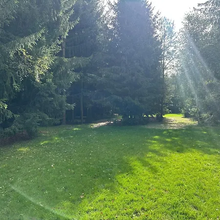 Vila Spokojnia Lawki