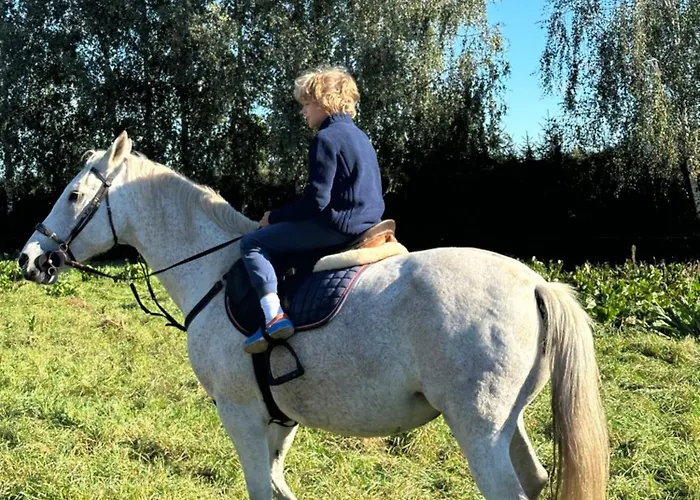 Spokojnia Vila Lawki